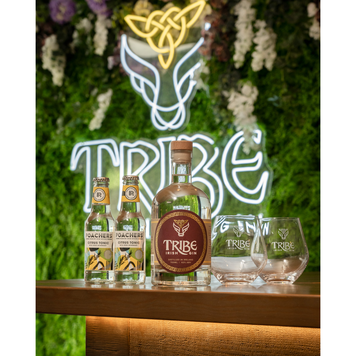 Tribe Golden Crown Irish Gin x Branded Glasses Hamper