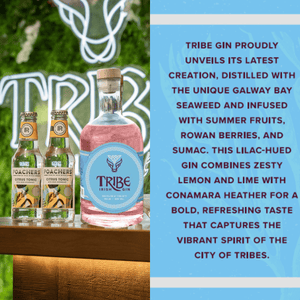 Tribe Silver Crown Summer Fruits Gin x Poachers Hamper - Tribe Gin